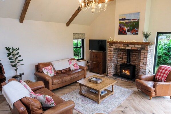 Smart TV, fireplace, books