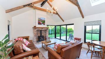 Smart TV, chimenea, libros