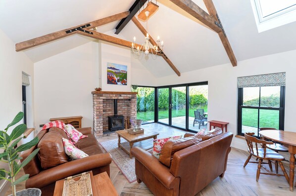 Smart TV, chimenea y libros