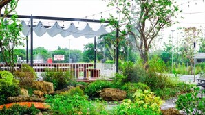 Un jardin avec une clôture blanche, des rochers et différentes sortes de plantes.