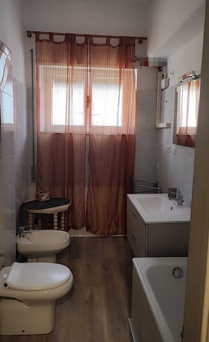 Hair dryer, bidet, towels, toilet paper