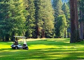 Golf - Cosmo Retreat –In Redwoods • Hot Tub • Game Yard • Walk to Russian River (Forestville)