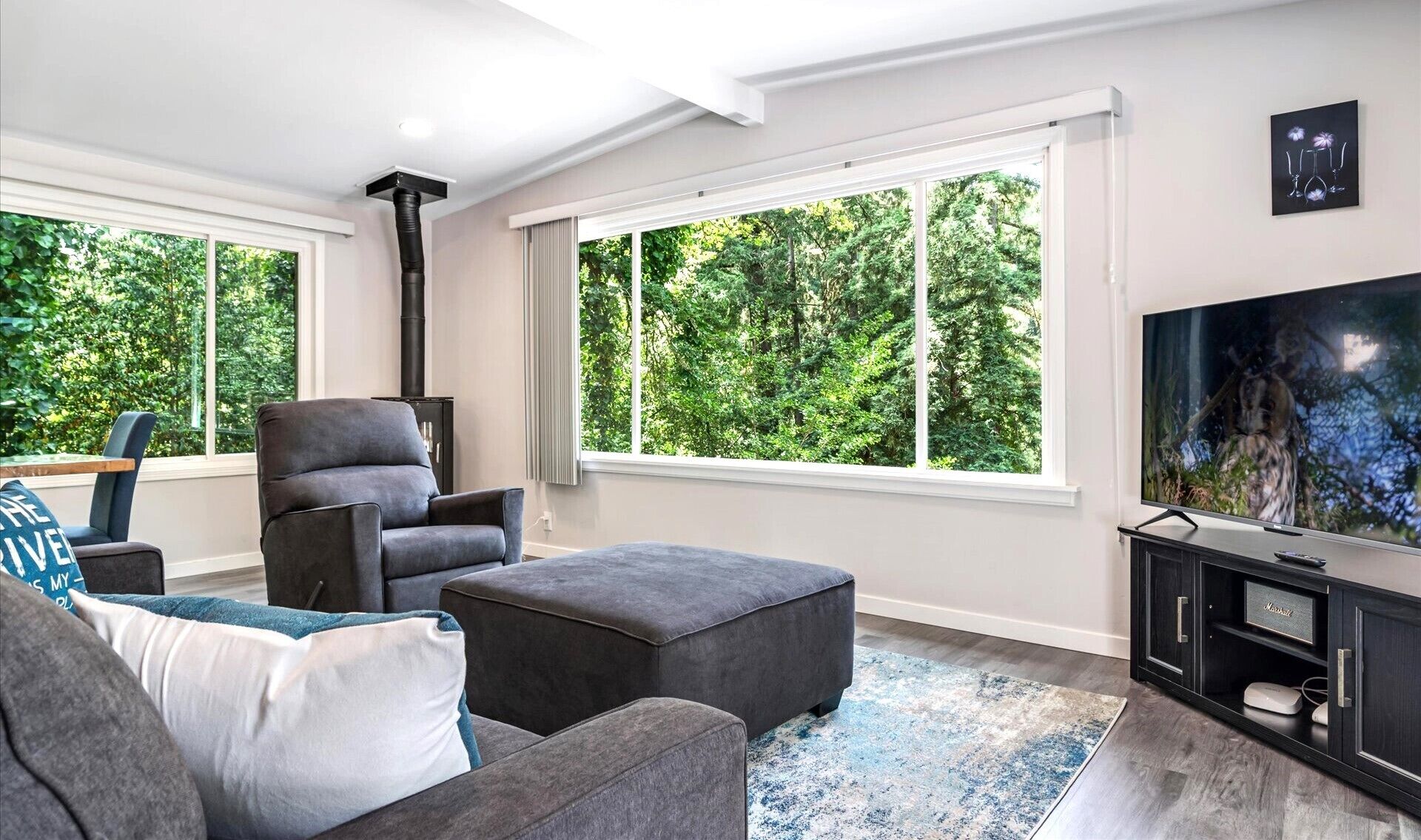 Guerneville~walk To Russian River~hot Tub~dog Friendly~bocce~cosmo Retreat! - Sebastopol, CA