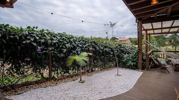 Premium House | Property grounds