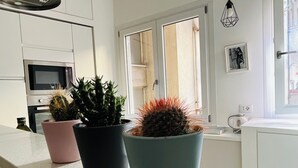 A kitchen with white cabinets, a microwave, and a window with curtains. There are three potted cacti on the counter. - Agliardi House at the Vatican (ROMA)