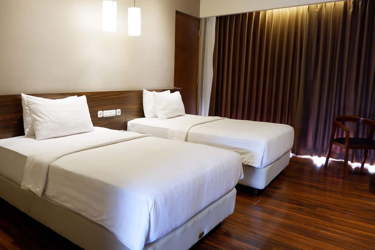 Chambre Deluxe Double ou avec lits jumeaux