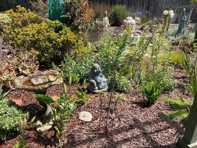 Retreat Studio with Private Patio and Full Kitchen located on the central coast.