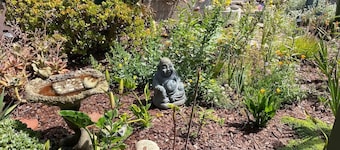 Retreat Studio with Private Patio and Full Kitchen located on the central coast.