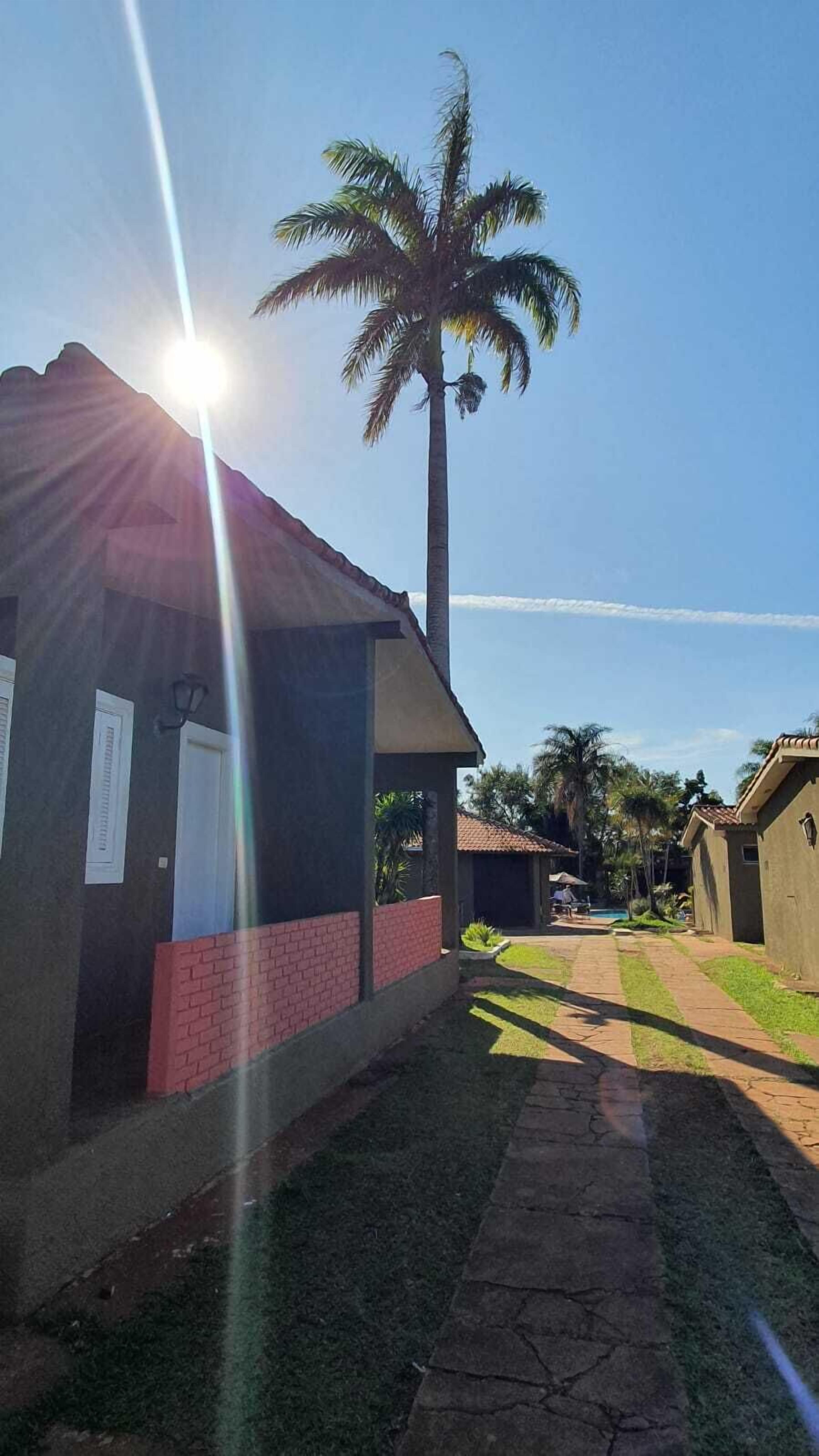 A pathway leading to a building with a palm tree in the background.