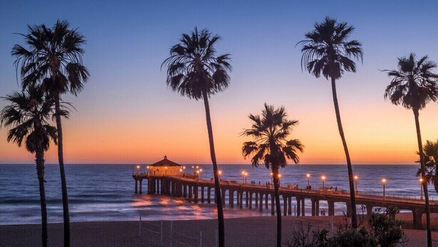 A beach with a pier and palm trees.