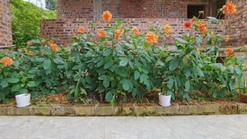 A row of potted plants with orange flowers in front of a brick building.