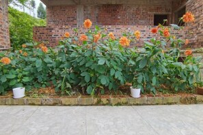 A row of potted plants with orange flowers in front of a brick building. - Xiyu Boutique Hostel (Longsheng)