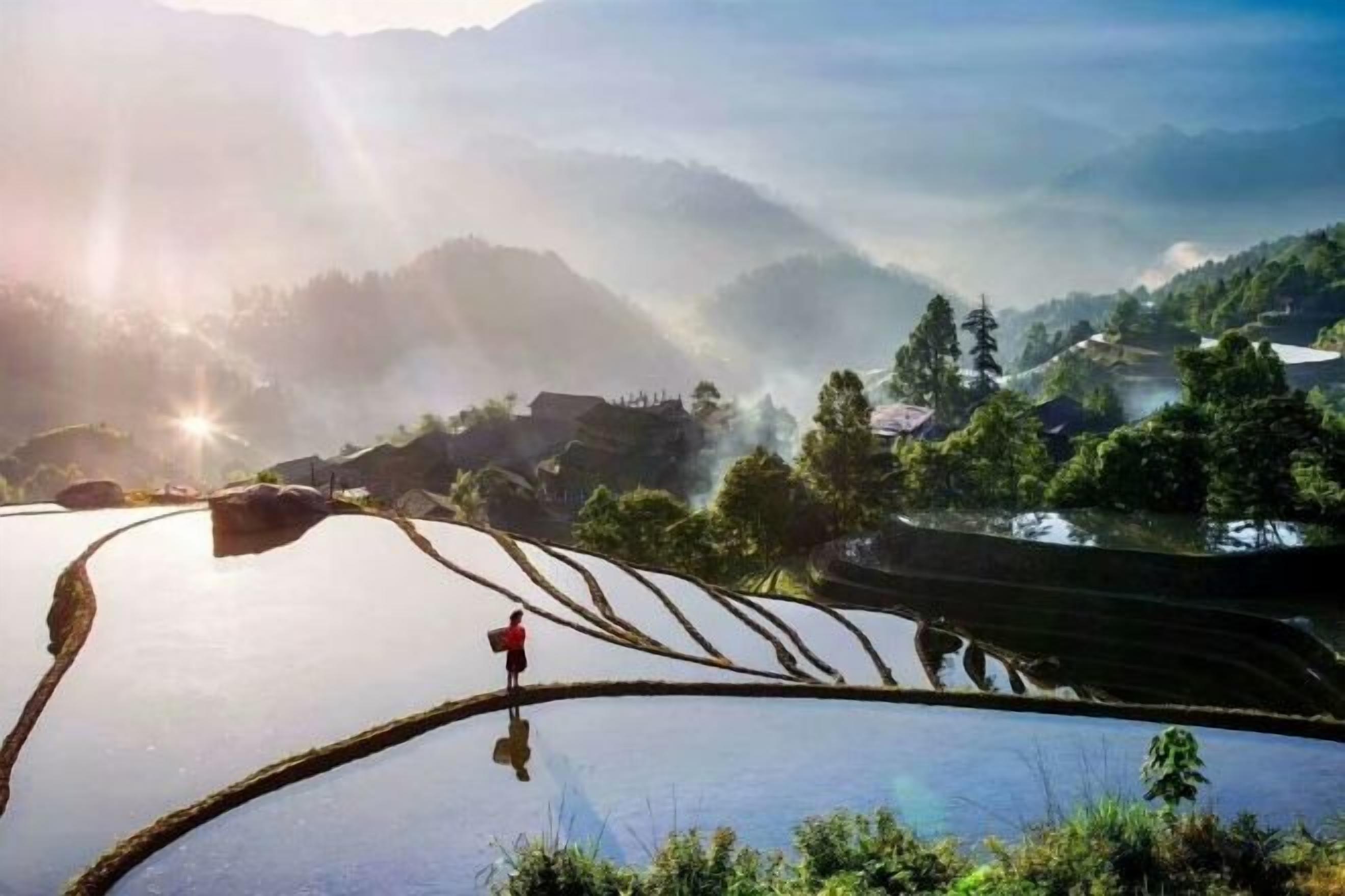 Terraced rice fields with a person standing in the foreground.