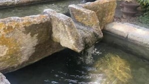Uklassifisert bilde, 5 av 6, knapp