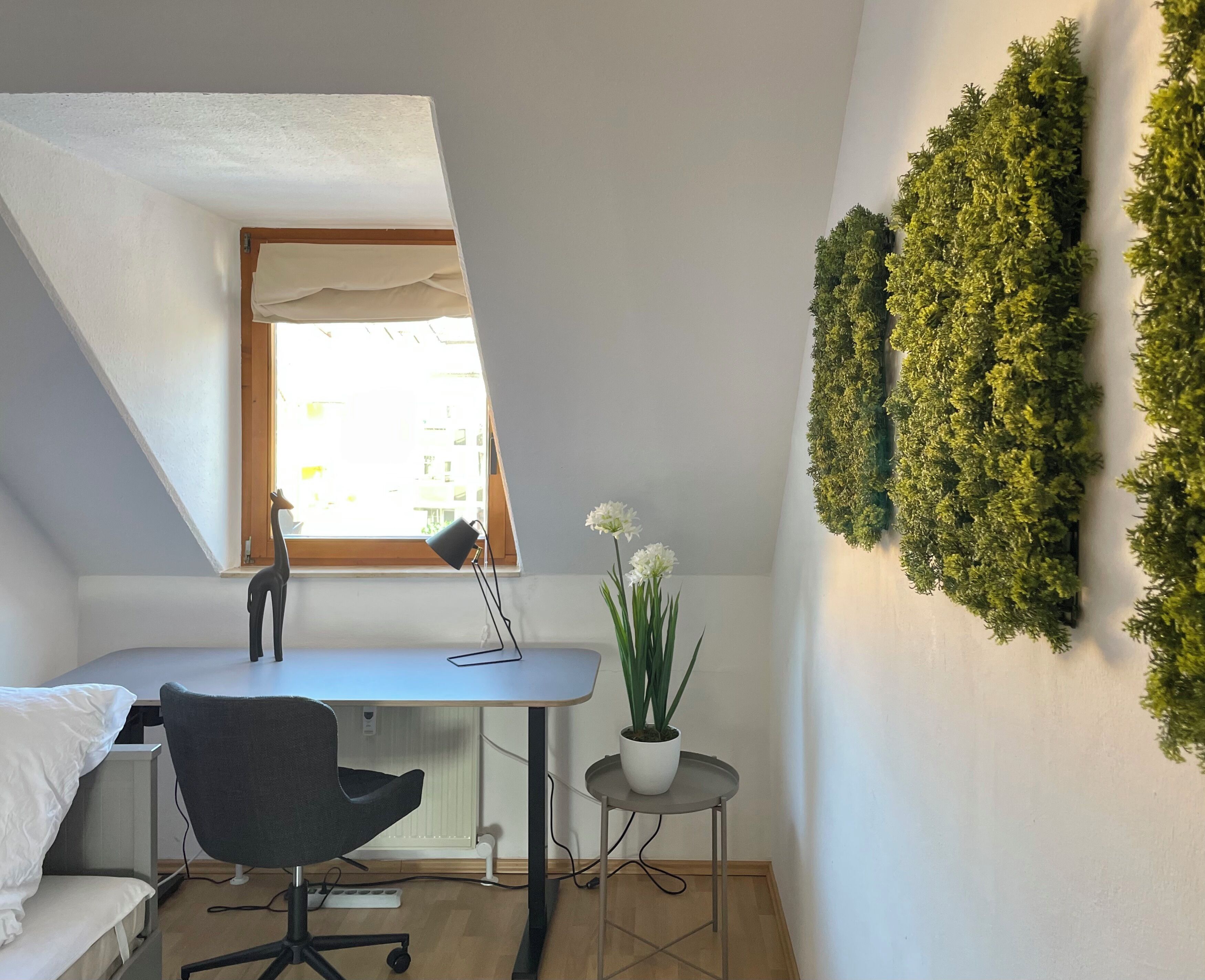 Une petite pièce moderne, équipée d’un bureau, d’une chaise et d’une plante en pot.