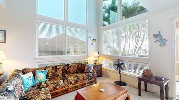 TV, DVD player, video library