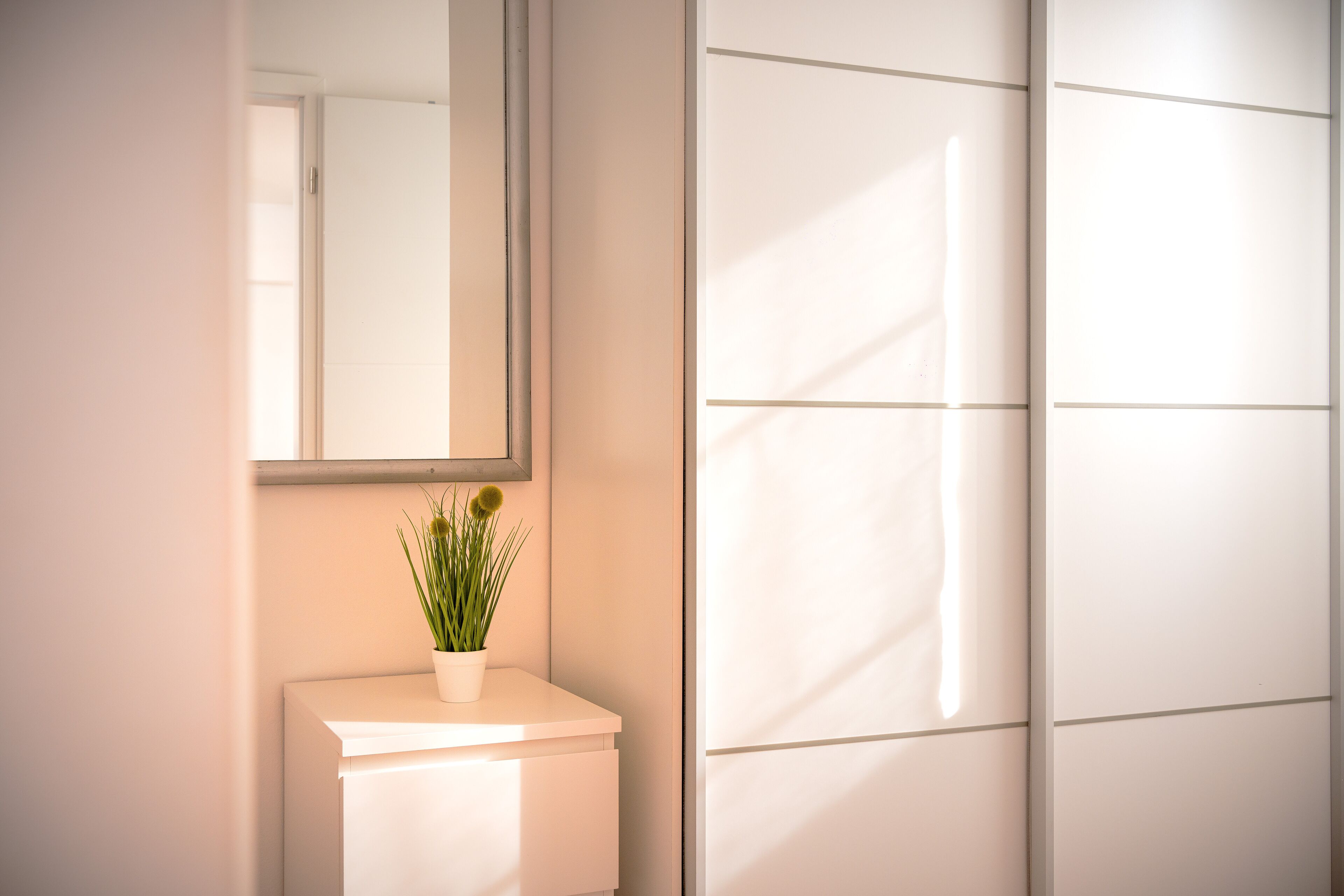 A bathroom with a white toilet, a small potted plant on the counter, and a mirror above it.