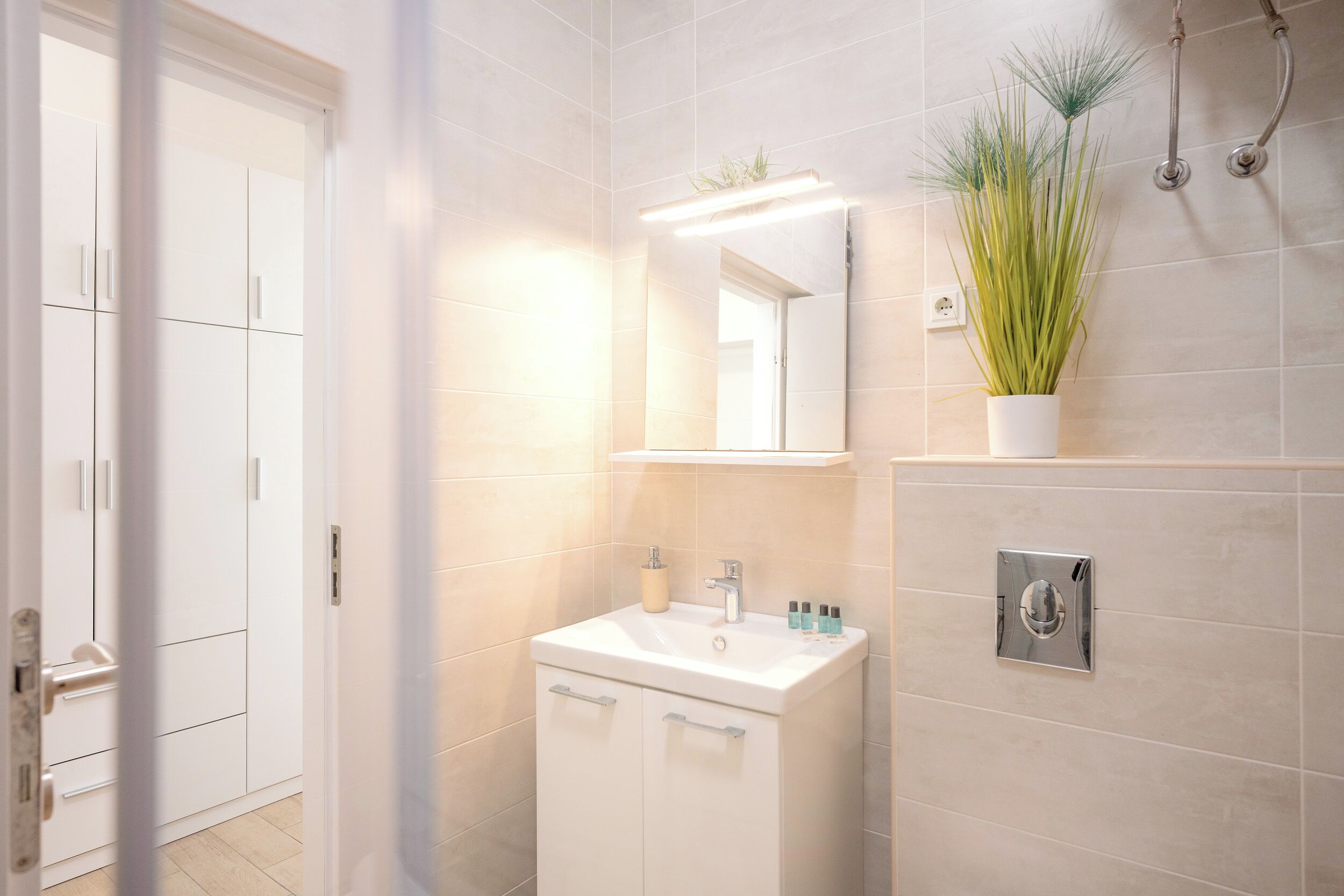 A modern bathroom with a white sink, mirror, and a potted plant.