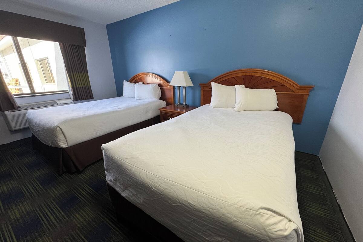 A hotel room with two beds, a window with curtains, a lamp on a bedside table, and a carpeted floor.