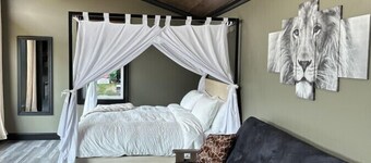 Big Cat Bungalows at The Haven - Lion 2