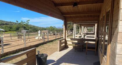 Les chalets de Tesa N°2 Luxe, Calme et Nature