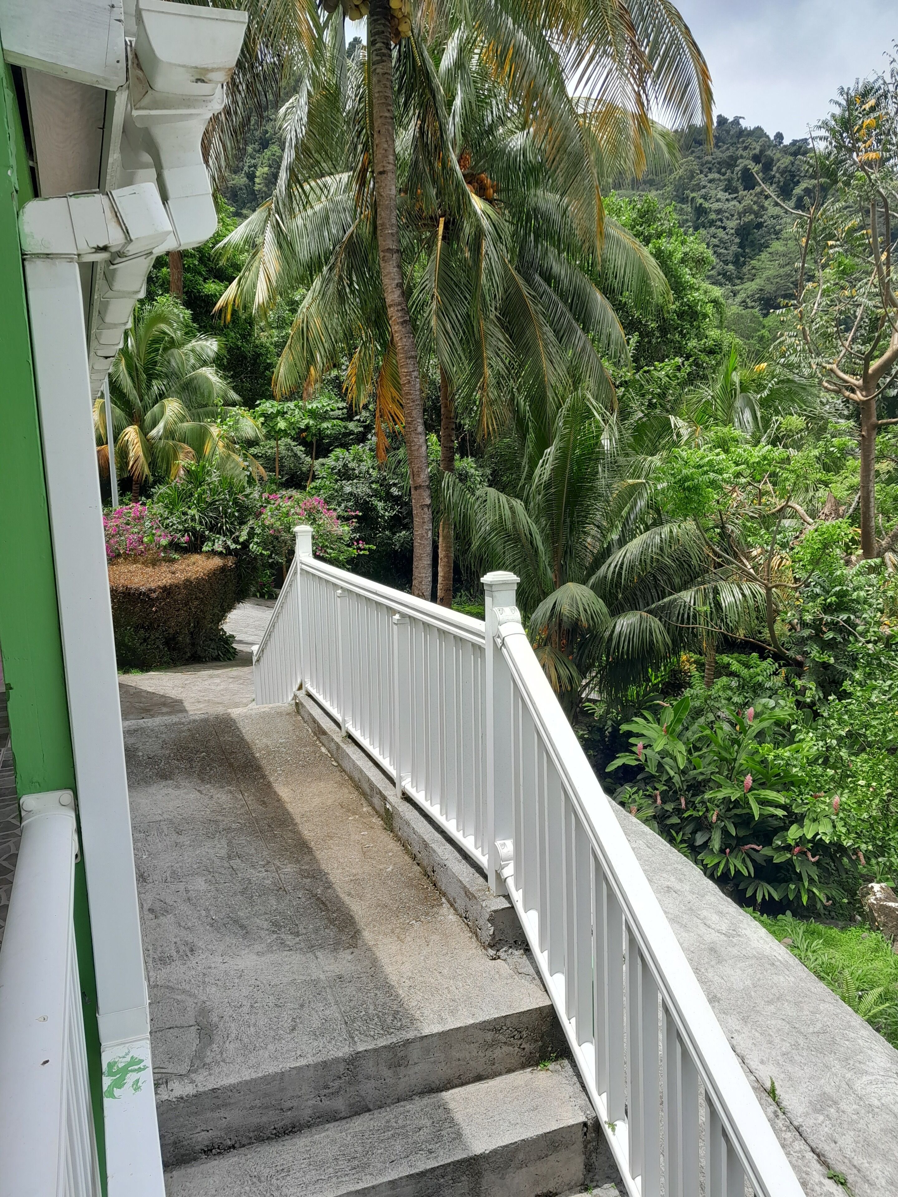 Un escalier avec des rampes blanches mène à un jardin luxuriant, où l’on trouve des palmiers et diverses plantes.