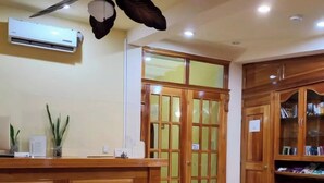 A reception area with a wooden reception desk, a potted plant, a bookcase, and a closed door with a 'pull' sign. - Cancun International by ZEIVA (Cancun)