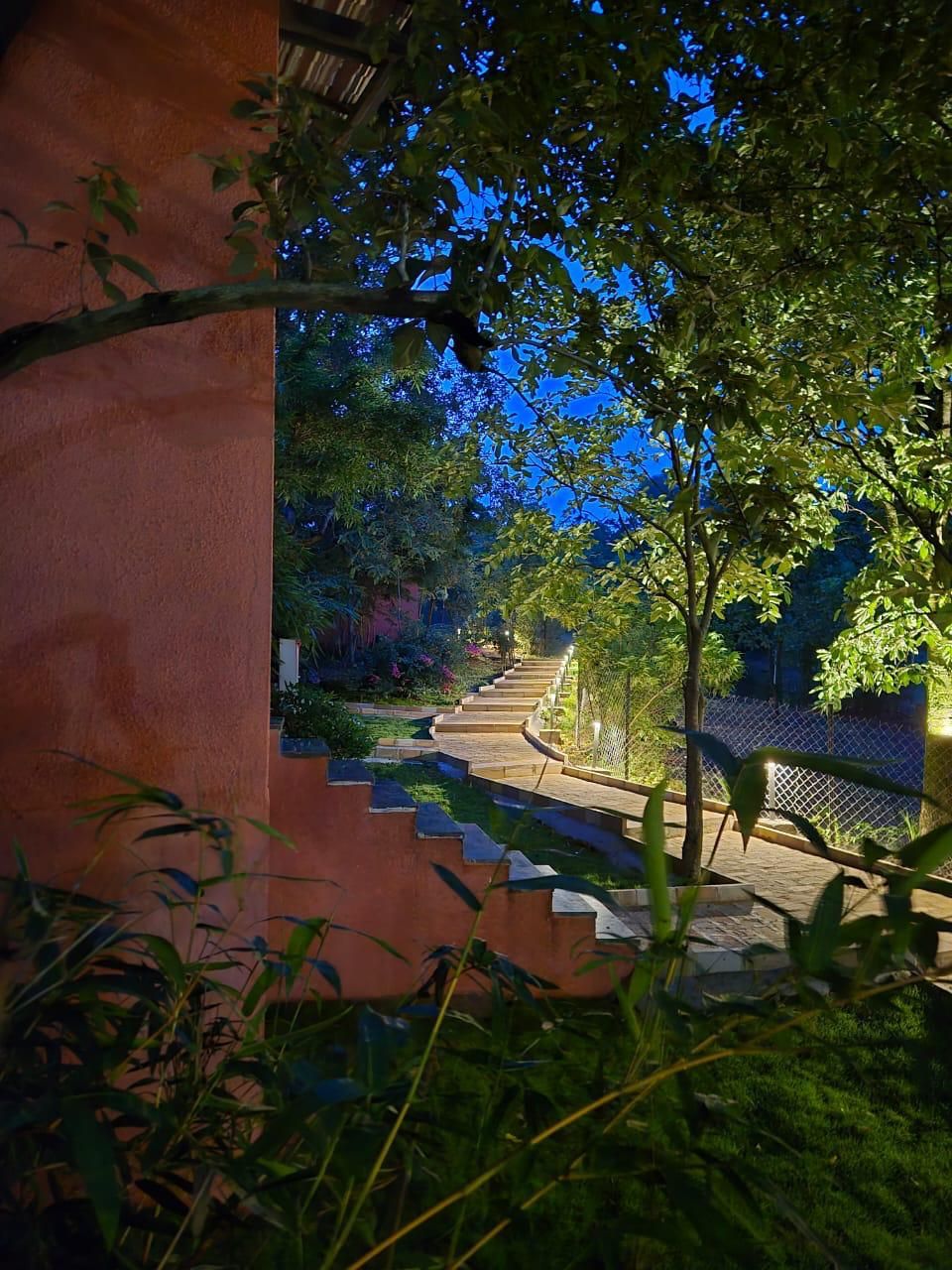 Un sentier qui traverse un jardin, avec un escalier en bois et une clôture.