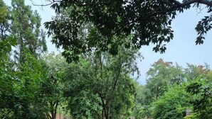 Unclassified image, 3 of 79, button - Citrus Prime Hill Queen Resort (Pipariya)