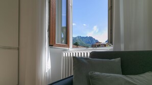 A room with a view of mountains through a window, a radiator, and a dark green sofa with cushions. - Lake River Apartment (Lecco)