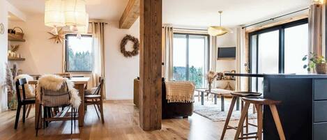 Tv, eldstad, böcker och kontor