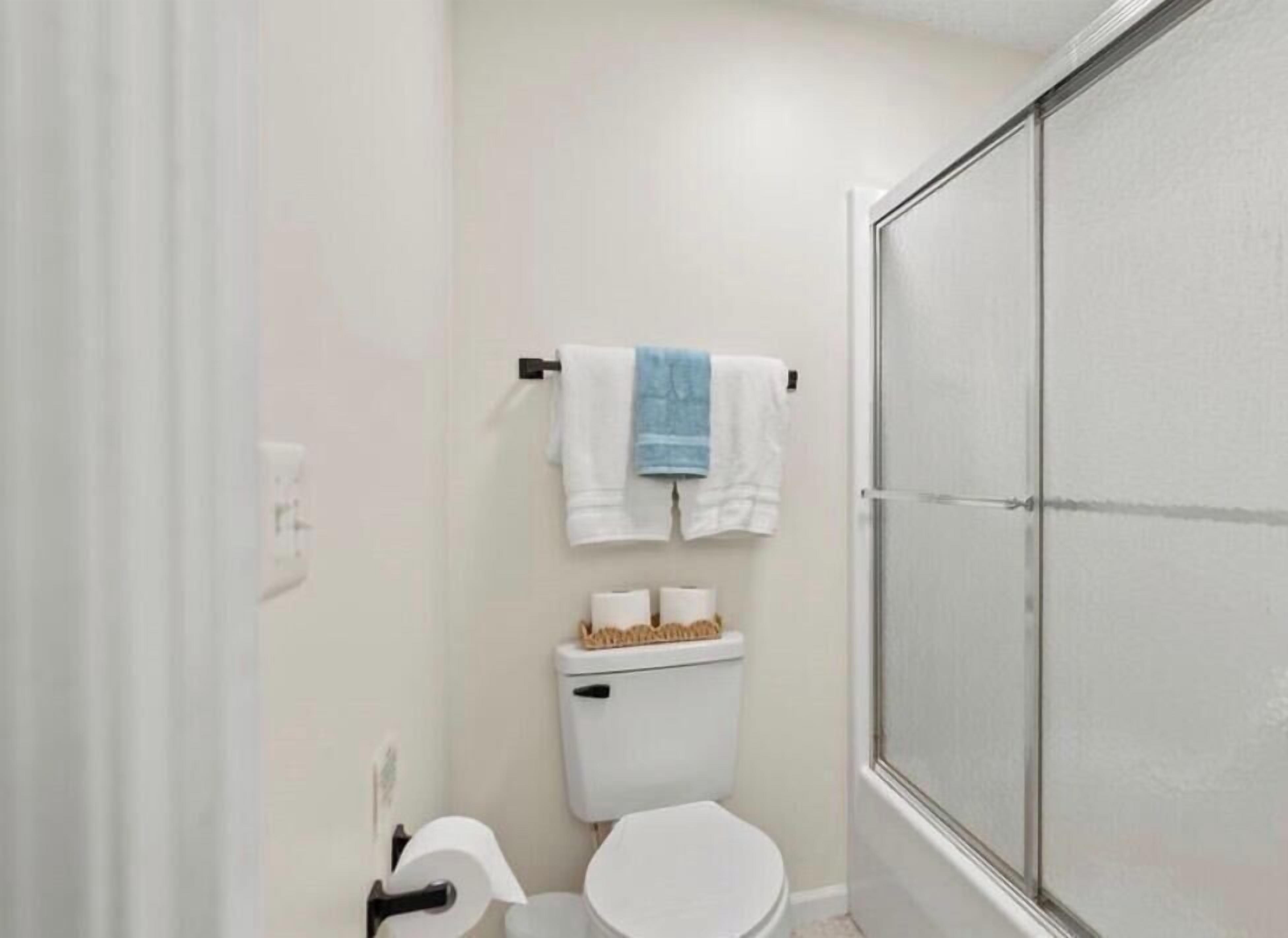 Hair dryer, towels, soap, toilet paper