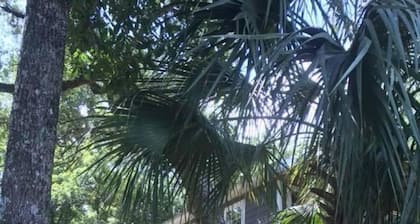 Charming waterfront barndominium on the beautiful spring-fed Chipola River.