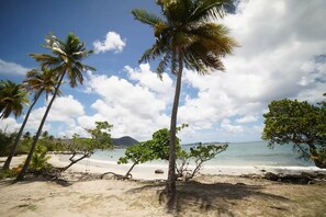 Beach - Félix T2 accès plage à Ste Luce

 (Sainte-Luce)
