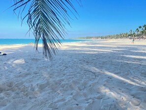 Apartment | Beach - Punta Cana - Apartment - Sleeps 4 - Pool - Hot Tub (Punta Cana)