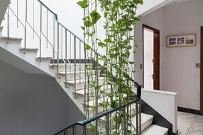 Un escalier avec des rampes en métal et une plante qui pousse le long de la rampe.