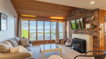 Smart TV, fireplace, books