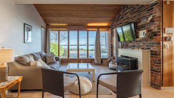 Smart TV, fireplace, books
