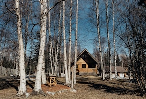 A cabin surrounded by tall birch trees in a forest. - Rustic and Warm Alaskan Log Cabin! (Wasilla)