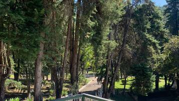 Suíte, vista para o jardim | Frigobar, Wi-Fi de cortesia, roupa de cama