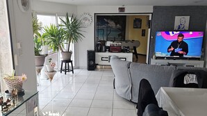 Una sala de estar moderna con un sofá, una mesa de centro y un televisor que muestra un programa. Hay plantas en macetas y una mesita con objetos decorativos.