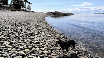 In Strandnähe, Liegestühle, Strandtücher