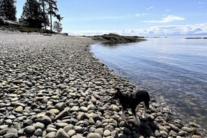 Ubicación cercana a la playa, tumbonas y toallas de playa