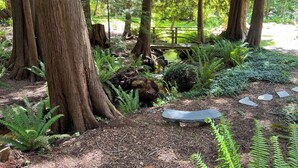 Zona boscosa con un puente de madera, un arroyo pequeño y un banco de piedra.