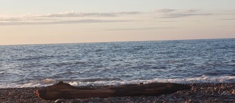 Private Guestroom inside the Lodge at North Ironwood Acres with three beds and one bathroom. Dog Friendly!