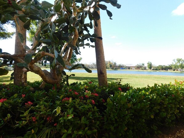 Unclassified image, 1 of 21, button - Beachwalk 101 in Fort Myers (Fort Myers)