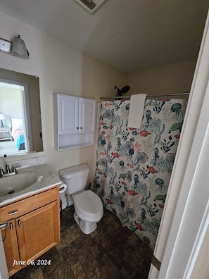 Hair dryer, bidet, towels, soap - Acadia Villas!  7A Hunter's Way:  A private neighborhood in the woods. (Trenton)