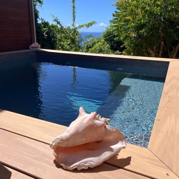 Outdoor pool - PomKajou Gîte - Racines e Zel Estate (Vieux-Fort)