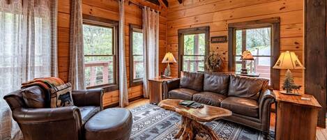 TV, fireplace, DVD player, books