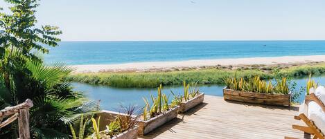 A wooden deck with planters of cacti and a view of the beach and water.